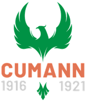 Cumann 1916 – 1921 | 1916 – 1921 Club